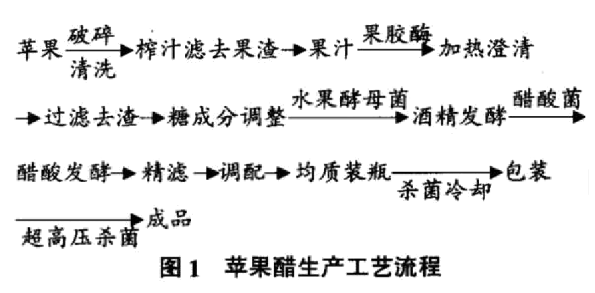 蘋果醋生產加工簡易流程圖